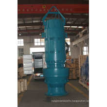 Vertical Axial Water Pump